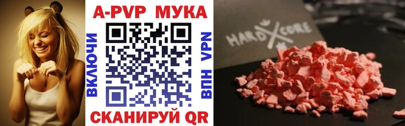 Альфа ПВП СК КРИС Нальчик