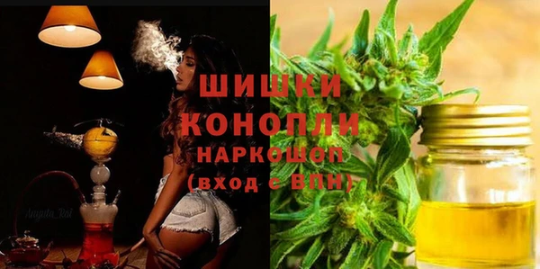 гидра Нестеровская