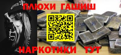 стаф Дубна