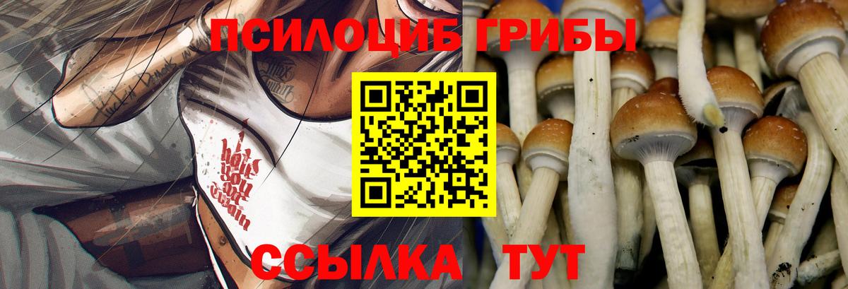 Галлюциногенные грибы Psilocybe  Вход с VPN  Нальчик  Псилоцибиновые грибы прущие грибы 
